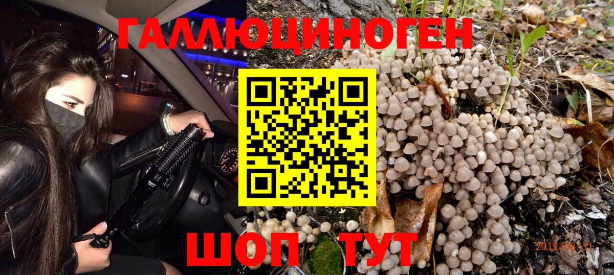 Псилоцибиновые грибы GOLDEN TEACHER  Псилоцибиновые грибы Cubensis  Вход с VPN  Урюпинск 